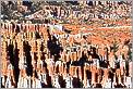 Bryce Canyon National Park - Bryce Point (CANON 5D + EF 180mm L macro)