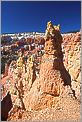 Bryce Canyon National Park - Queens Garden (CANON 5D + EF 24mm L F1,4)