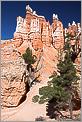 Bryce Canyon National Park - Queens Garden (CANON 5D + EF 24mm L F1,4)