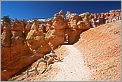 Bryce Canyon National Park - Queens Garden (CANON 5D + EF 24mm L F1,4)