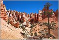 Bryce Canyon National Park - Queens Garden (CANON 5D + EF 24mm L F1,4)