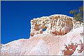 Bryce Canyon National Park - Queens Garden (CANON 5D + EF 100mm macro)