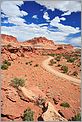 Capitol Reef NP - Panorama Point (CANON 5D + EF 24mm L F1,4)