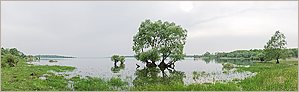 Lac du Der (OLYMPUS E-10)