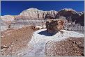 Blue Mesa - Petrified Forest National Park (Arizona USA) CANON 5D + EF 24mm L F1,4 USM