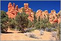 Red Canyon - Ouest USA (CANON 5D + EF 50mm F1,4)