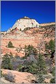 Zion National Park - Utah USA (CANON 5D +EF 50mm)