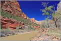 Virgin River Zion National Park - Utah USA (CANON 5D +EF 24mm L)