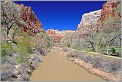 Virgin River Zion National Park - Utah USA (CANON 5D +EF 24mm L)