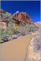 Virgin River Zion National Park - Utah USA (CANON 5D +EF 24mm L)